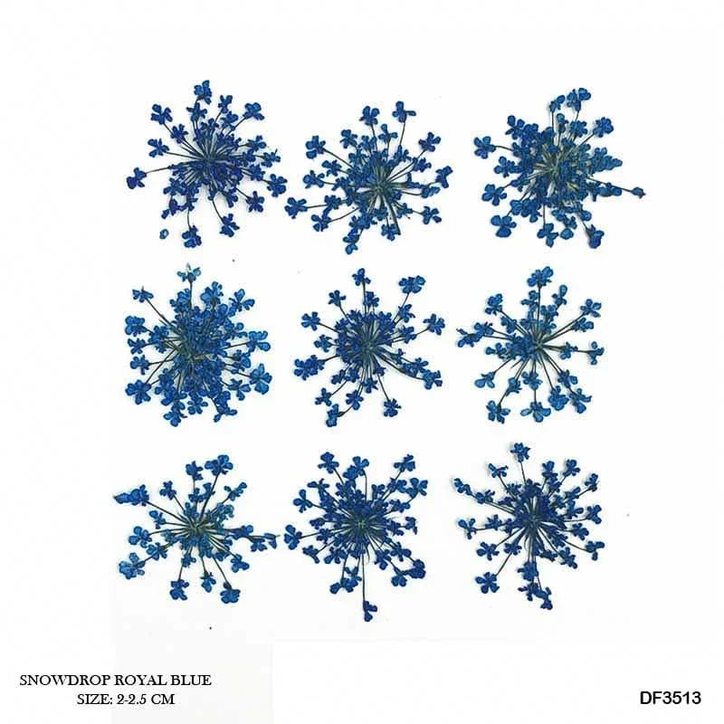 Natural Dried Flowers – Royal Blue Resin Art & Nail Decor | Pack of 1