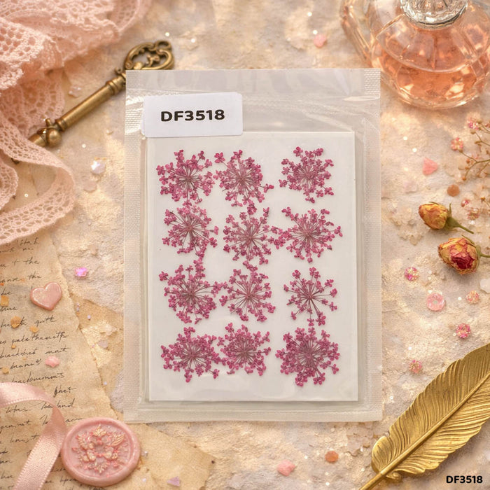 Dried Flower Sheet - 12 Flowers per Sheet (Design 10)
