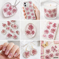 Dried Flower Sheet - 12 Flowers per Sheet (Design 10)