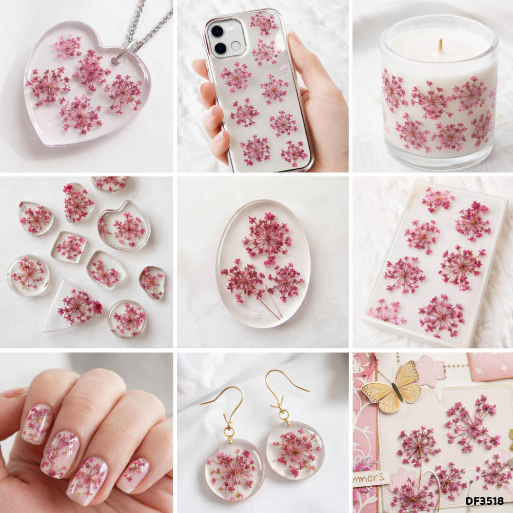 Dried Flower Sheet - 12 Flowers per Sheet (Design 10)