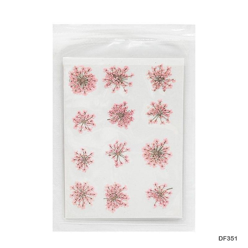 Dried Flower for Resin Dry 12 Flower Sheet Df35-4