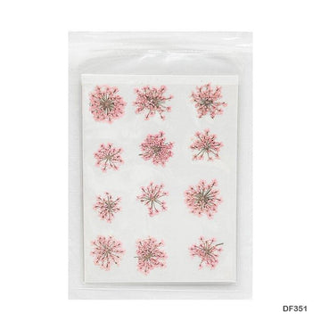 Dried Flower for Resin Dry 12 Flower Sheet Df35-4