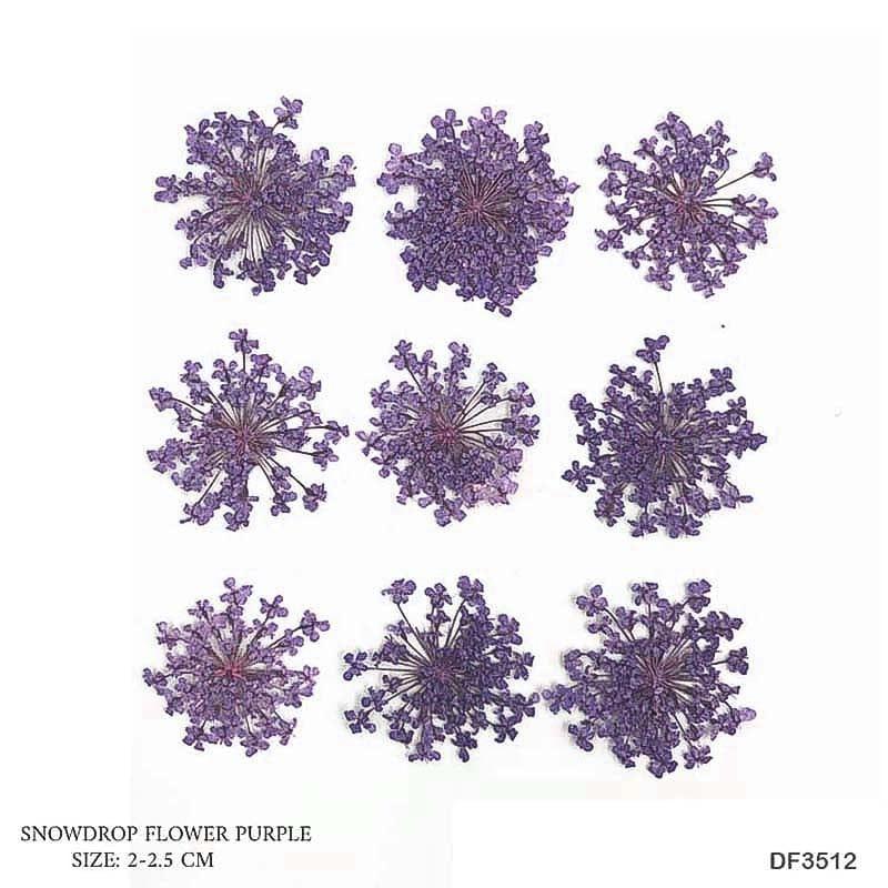 Purple Dried Flowers – Aesthetic Resin Jewelry & Craft Decoration | Pack of 1