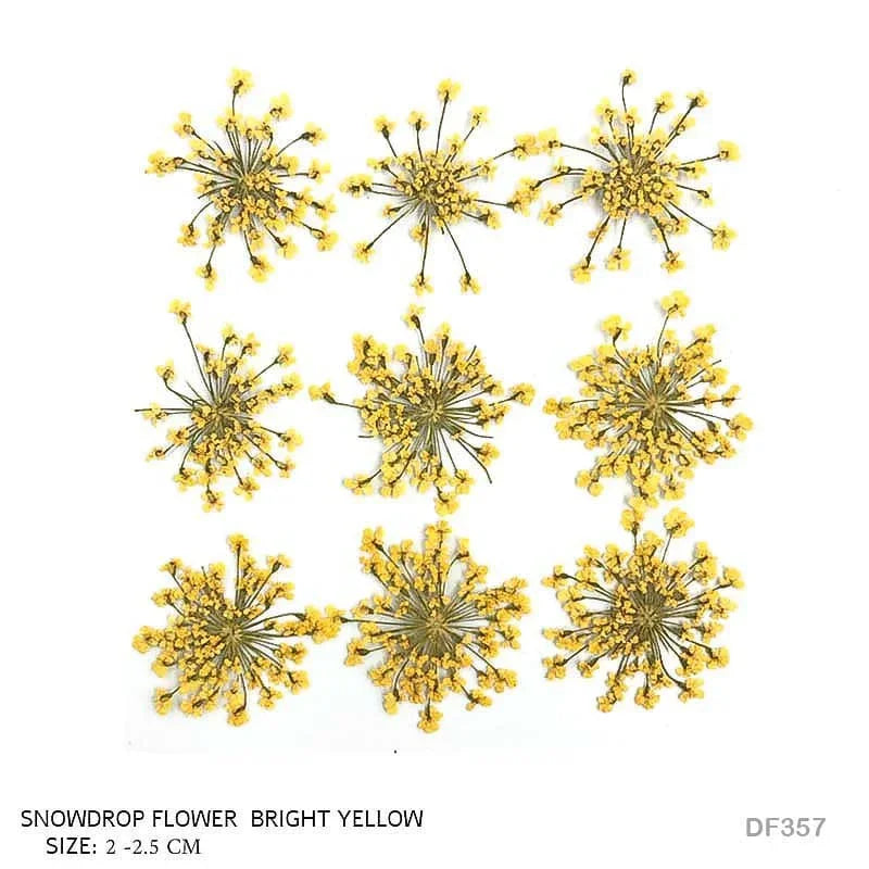 Yellow Dried Flowers – Aesthetic Resin Jewelry & Craft Decoration | Pack of 1