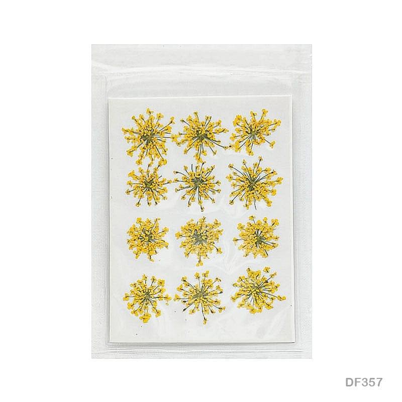Dried Flower for Resin Dry 12 Flower Sheet Df35-7