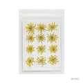 Dried Flower for Resin Dry 12 Flower Sheet Df35-7