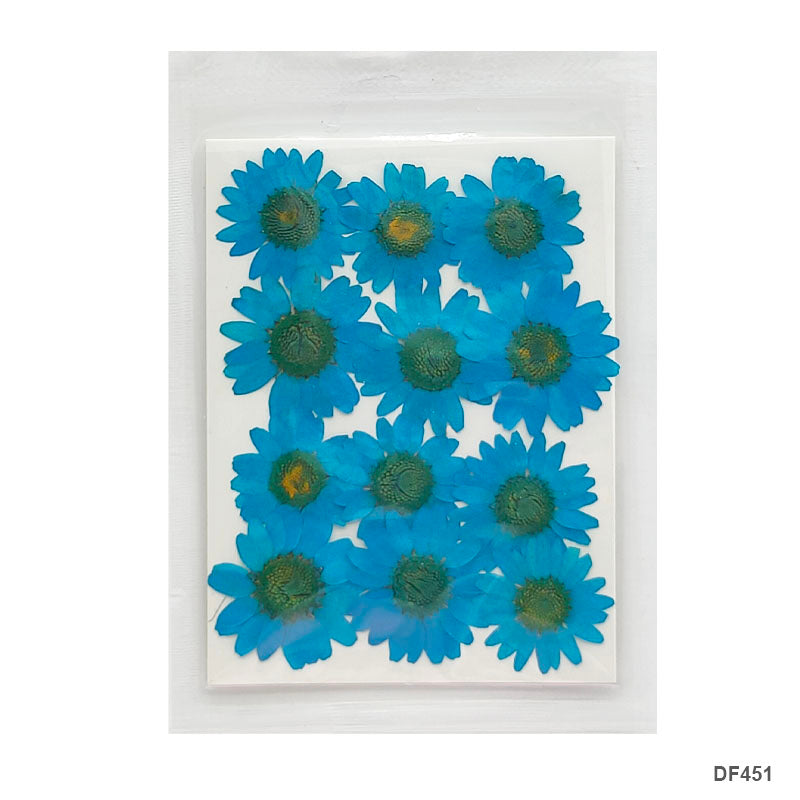 Dried Flower Sheet - 12 Flowers per Sheet (Design 9)