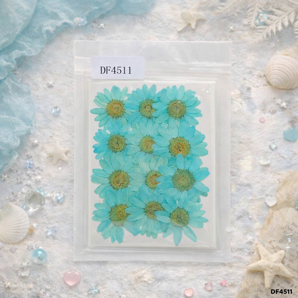 Dried Flower Sheet - 12 Flowers per Sheet (Design 3)
