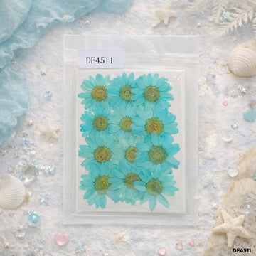 Dried Flower Sheet - 12 Flowers per Sheet (Design 3)