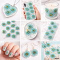 Dried Flower Sheet - 12 Flowers per Sheet (Design 3)