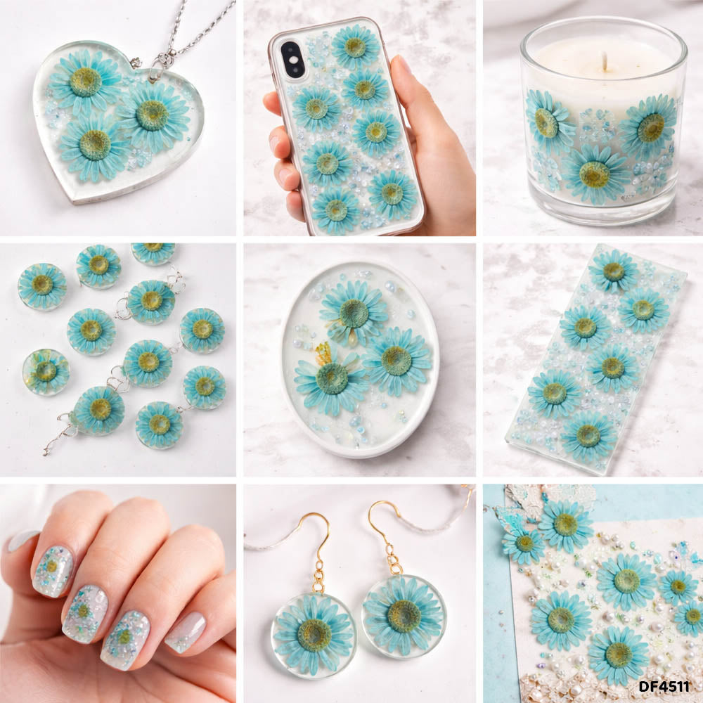 Dried Flower Sheet - 12 Flowers per Sheet (Design 3)