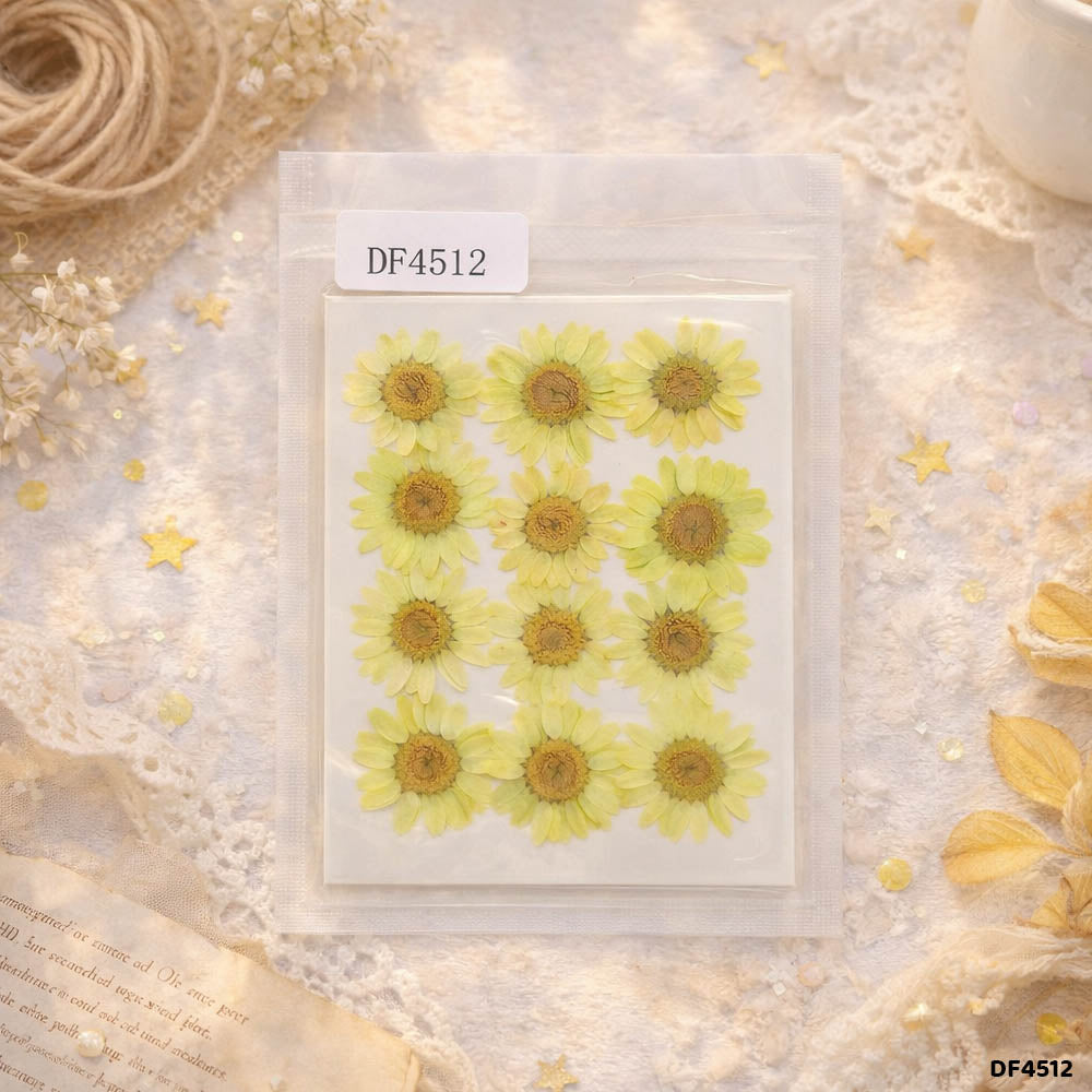 Dried Flower Sheet - 12 Flowers per Sheet (Design 20)