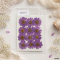 Dried Flower Sheet - 12 Flowers per Sheet (Design 11)