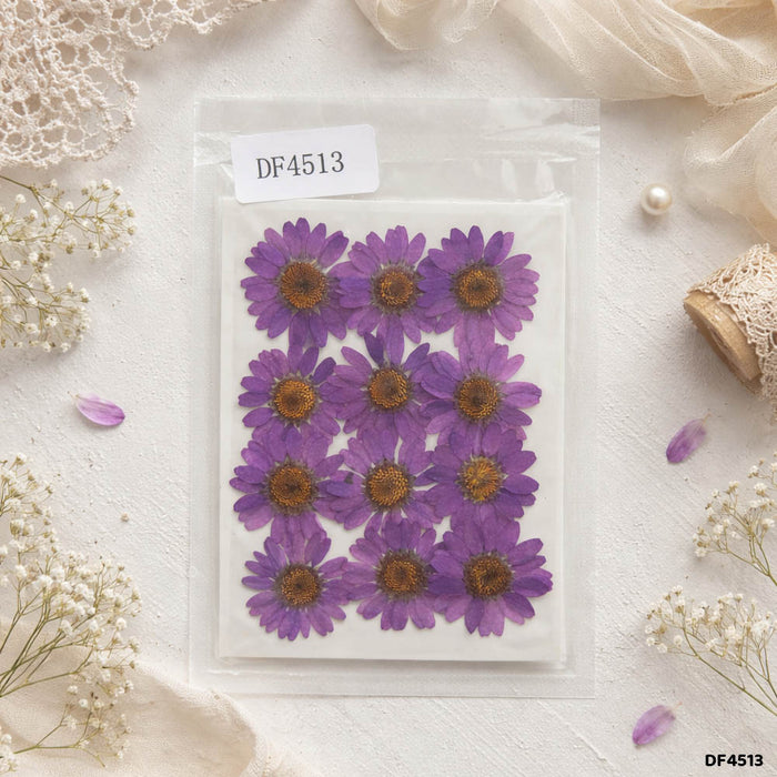 Dried Flower Sheet - 12 Flowers per Sheet (Design 11)