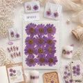 Dried Flower Sheet - 12 Flowers per Sheet (Design 11)