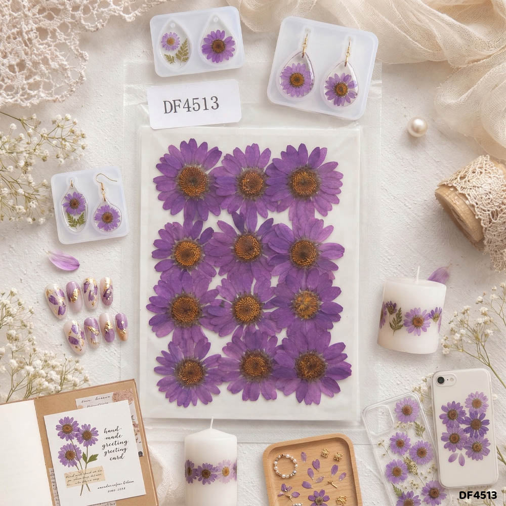 Dried Flower Sheet - 12 Flowers per Sheet (Design 11)