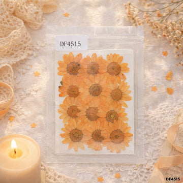 Dried Flower Sheet - 12 Flowers per Sheet (Design 8)
