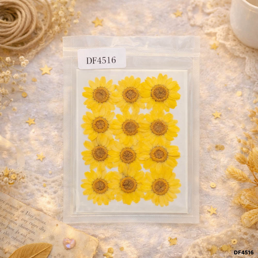 Dried Flower Sheet - 12 Flowers per Sheet (Design 13)