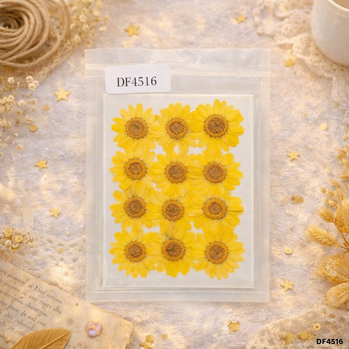 Dried Flower Sheet - 12 Flowers per Sheet (Design 13)