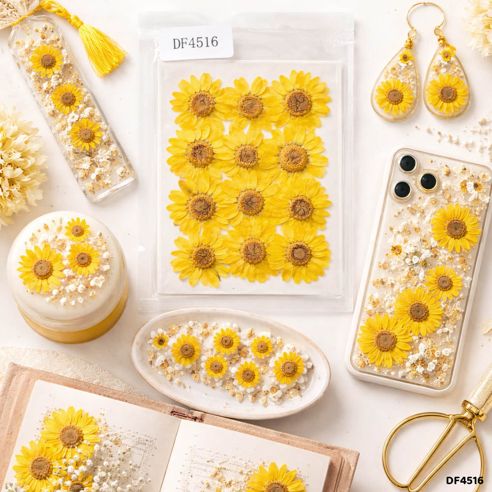 Dried Flower Sheet - 12 Flowers per Sheet (Design 13)