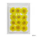 Dried Flower Sheet - 12 Flowers per Sheet (Design 21)