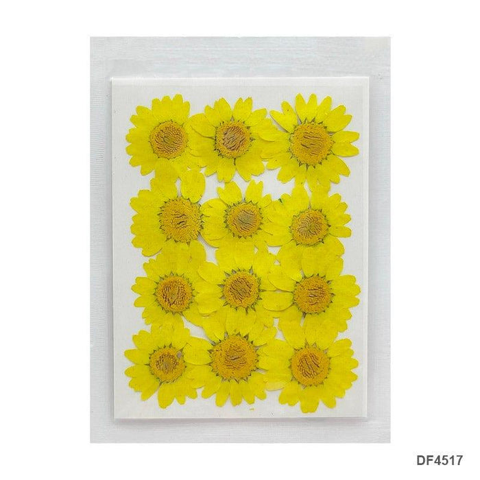 Dried Flower Sheet - 12 Flowers per Sheet (Design 21)