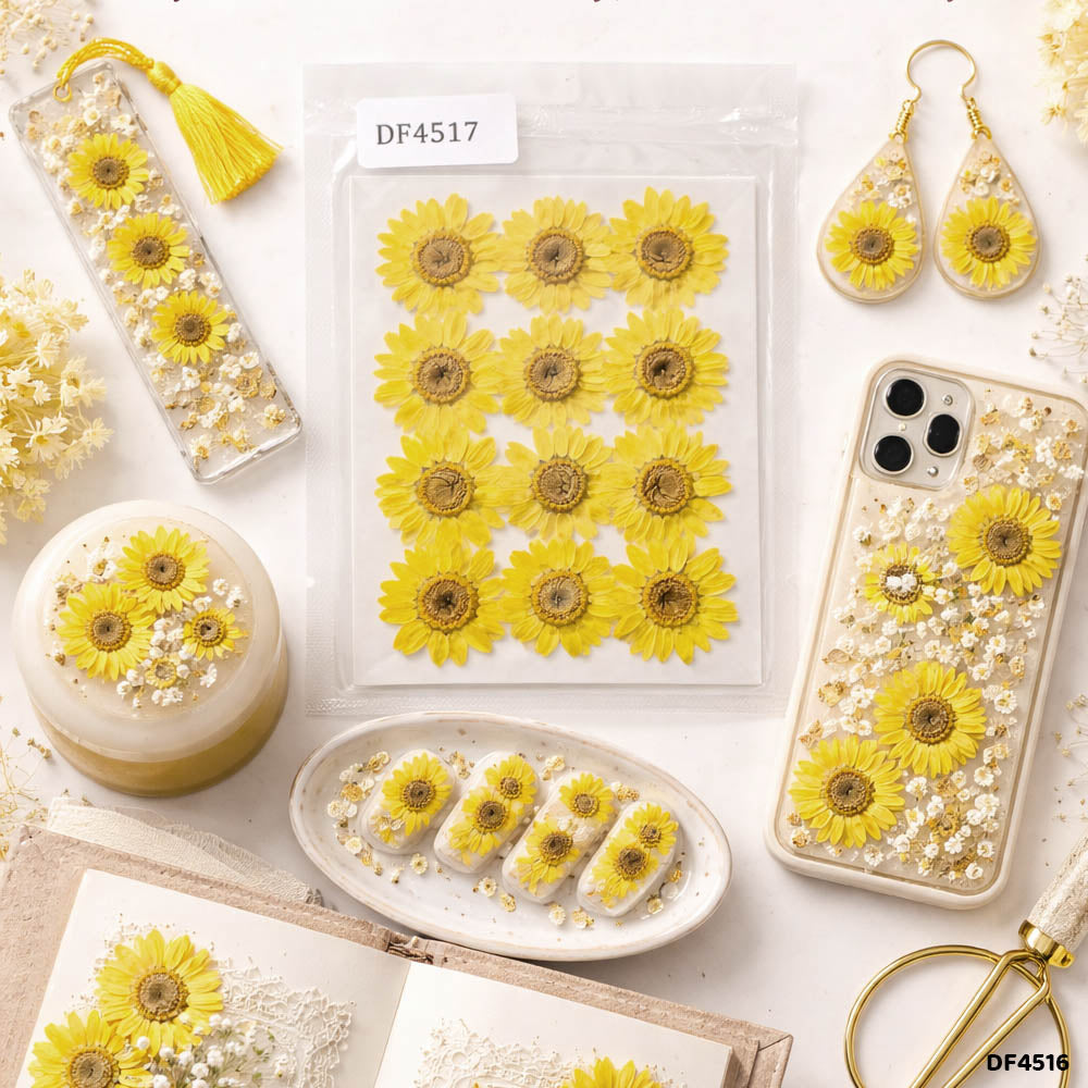 Dried Flower Sheet - 12 Flowers per Sheet (Design 21)