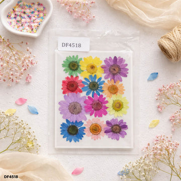 Dried Flower Sheet - 12 Flowers per Sheet (Design 23)