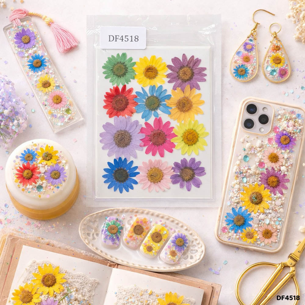 Dried Flower Sheet - 12 Flowers per Sheet (Design 23)