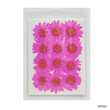 Dried Flower Sheet - 12 Flowers per Sheet (Design 1)
