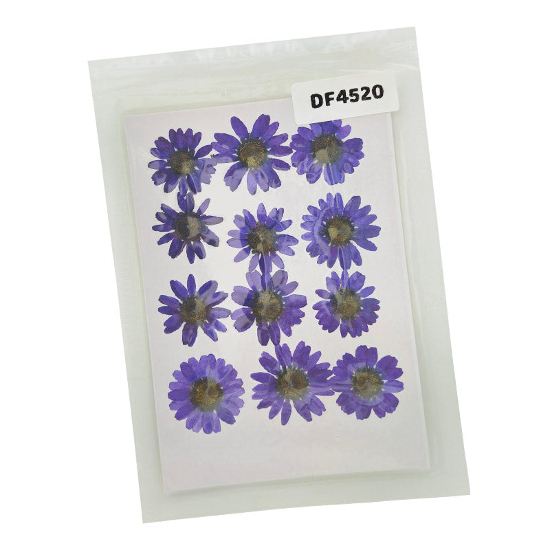 Dried Flower Sheet - 12 Flowers per Sheet (Design 15)