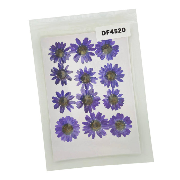 Dried Flower Sheet - 12 Flowers per Sheet (Design 15)