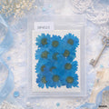 Dried Flower Sheet - 12 Flowers per Sheet (Design 6)
