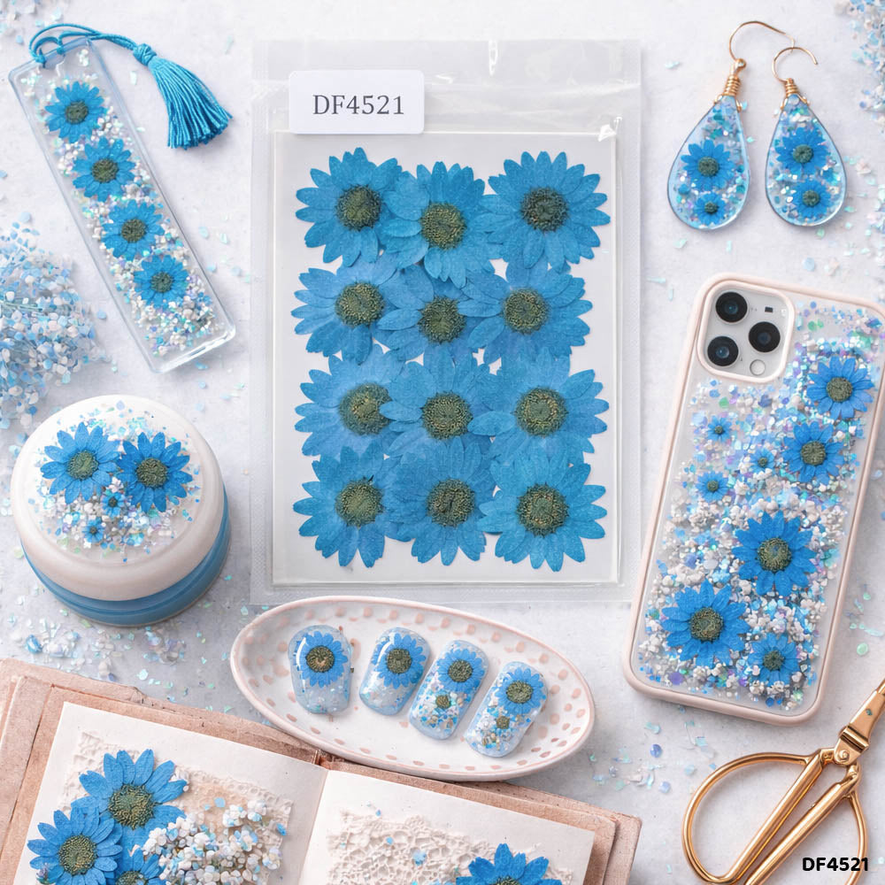 Dried Flower Sheet - 12 Flowers per Sheet (Design 6)