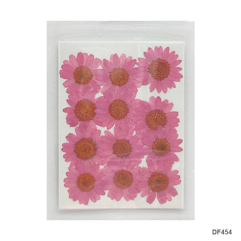 Dried Flower Sheet - 12 Flowers per Sheet (Design 4)