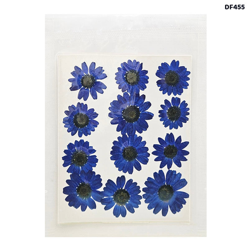 Dried Flower Sheet - 12 Flowers per Sheet (Design 14)