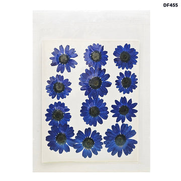 Dried Flower Sheet - 12 Flowers per Sheet (Design 14)