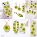 Dried Flower Sheet - 12 Flowers per Sheet (Design 7)