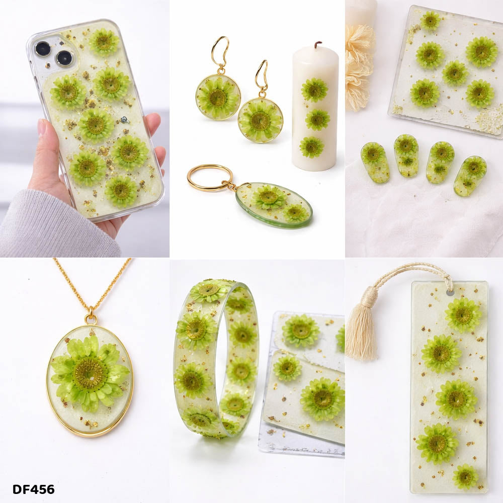 Dried Flower Sheet - 12 Flowers per Sheet (Design 7)