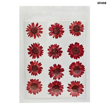 Dried Flower Sheet - 12 Flowers per Sheet (Design 2)