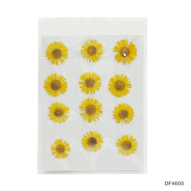 Dried Flower for Resin Dry 12 Flower Sheet Df46-5