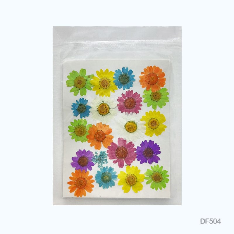 Dried Flower for Resin Pressed Flower Sheet Df50-4