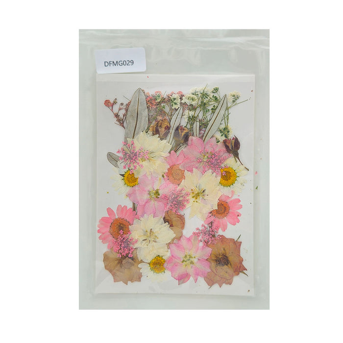 Dried Flower I Dry Sheet