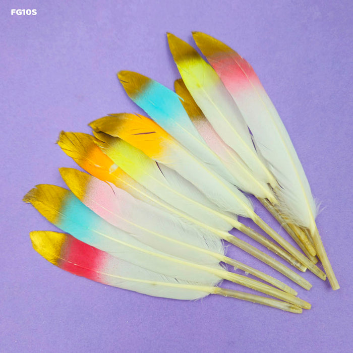 Shaded Glittered Feathers Multicolour - Pack of 10 for Craft