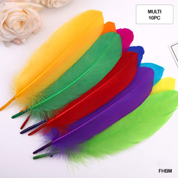 Feather Hard Big Multi Color (Fhbm) (10Pcs)