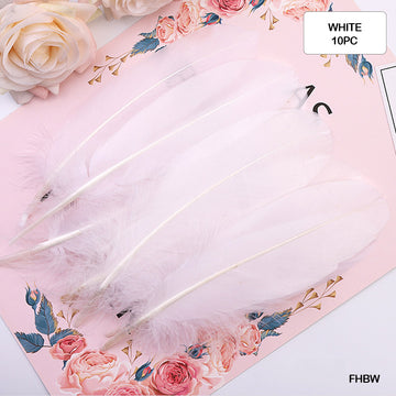 Feather Hard Big White (Fhbw) (10Pcs)