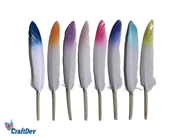 Mini Hard Feathers 2-Shade Multicolour - Pack of 8 for Craft
