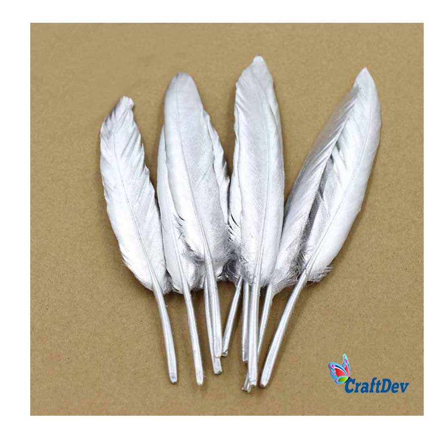 Feather Hard 10Pcs - Silver (Fs8)