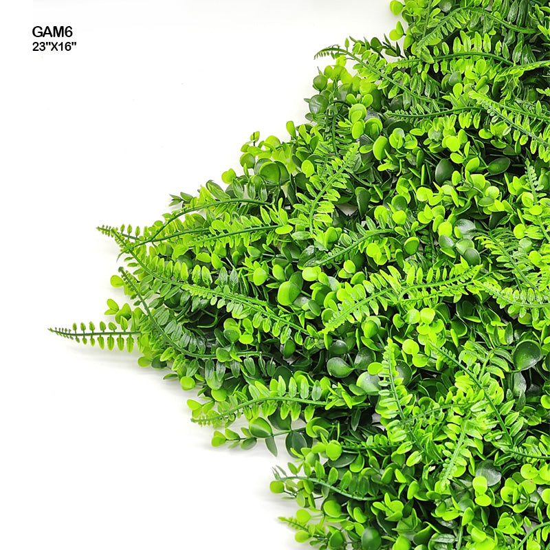 GAM6