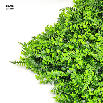 GAM6